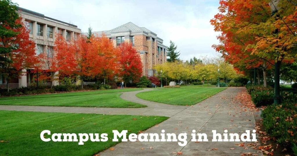 Campus Meaning In Hindi 5 Advice 